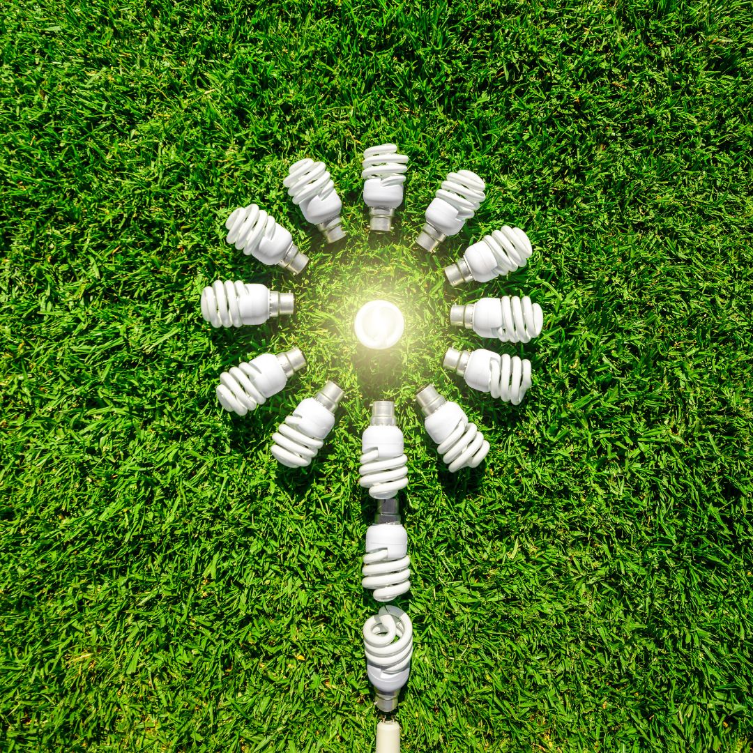 lightbulbs in a flower shape on grass